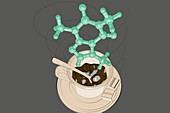 Caffeine molecule,illustration