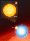 The Sun Compared to Seven Other Stars