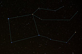 Pegasus Constellation