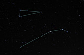 Triangulum and Aries Constellations