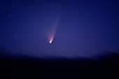 Comet PANSTARRS C 2011 L4