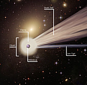 Comet with Parts Labelled