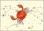 Cancer Constellation,1603