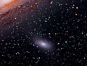 Galaxy M110