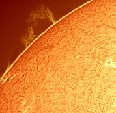 Solar Prominence Eruption,10 8 2013