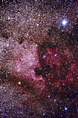 Nebulas and Deneb