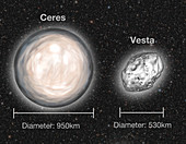 Ceres & Vesta Asteroids,Illustration