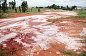 Chemical waste leaking from factory