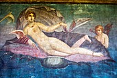 Venus painting in Pompeii