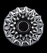 Ferrofluid in a magnetic field