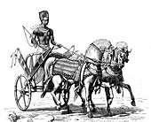 Egyptian pharoah and chariot