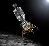 Apollo Command Service and Lunar modules