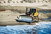 Beach conservation,North Carolina,USA