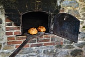 Brick bread oven