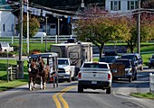 Amish horse carriage,Pennsylvania,USA