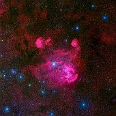 IC 2944 emission nebula