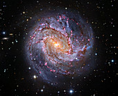Southern Pinwheel Galaxy,composite image