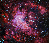 Westerlund 2 star cluster and nebulae