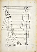 Study in human proportions by Durer