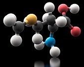 Methionine amino acid molecule