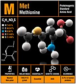 Methionine amino acid molecule