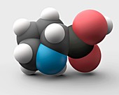 Proline amino acid molecule