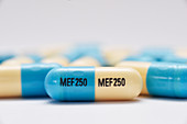 Mefenamic acid drug capsules