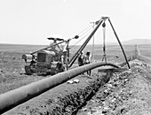 Laying oil pipeline in Palestine,1933