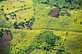 Deforested slopes,Malawi
