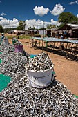 Fish caught in Lake Malawi,drying racks