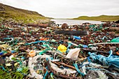Plastic rubbish washed ashore