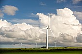 Wind farm,Cornwall,UK