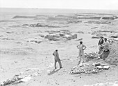 Mesopotamian archaeology,1932