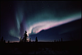 Aurora Borealis from Alaska