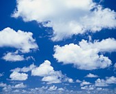 Cumulus clouds against a blue sky