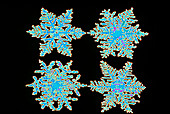 False-colour computer image of snow flakes