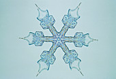 Light micrograph of a snow crystal