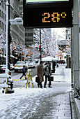 Seattle Snow