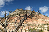 Checkerboard Mesa