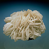 View of cleavelandite crystals,a form of albite