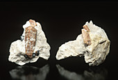 Willemite on calcite specimens