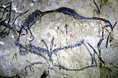 Painting in Niaux cave,France