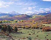 Sneffels mountain range,USA