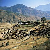 'Punakha Valley,Bhutan'