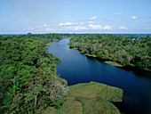 Tributary of the Amazon River