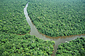 Brazil,Amazon estuary