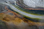 Algae and minteral deposits in Yellowstone