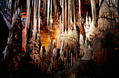 Limestone formations in Blanchard Springs Caverns