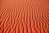 Ripples on red sand dune