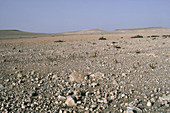 'Sahara Desert,Morocco'